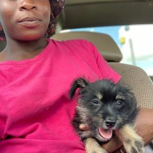 Meet your Posher, Jermicka